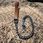 Laisses en chaîne Cuir et Loulous