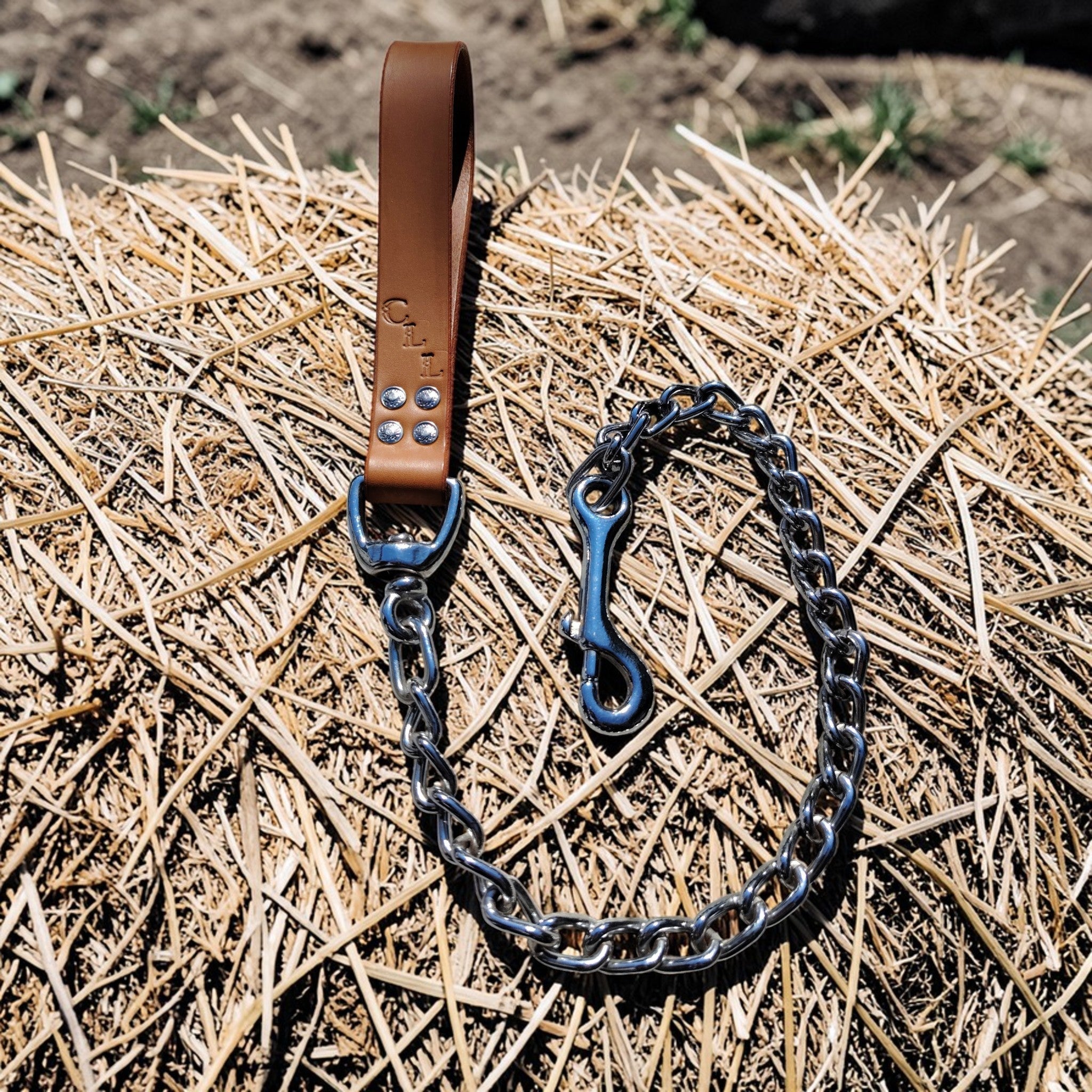Laisses en chaîne Cuir et Loulous